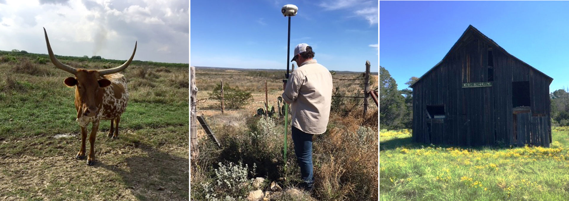 Texas longhorn, TX licensed land surveyor, Texas farm survey